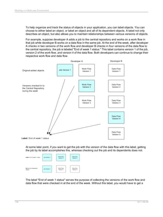 SAP BODS Designer PDF