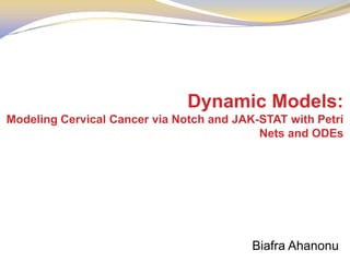 Dynamic Models:
Modeling Cervical Cancer via Notch and JAK-STAT with Petri
                                           Nets and ODEs




                                          Biafra Ahanonu
 