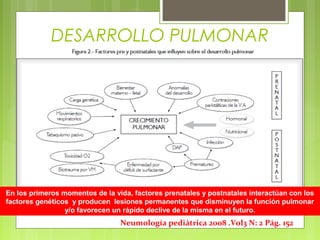 Neumología pediátrica 2008 .Vol3 N: 2 Pág. 152
DESARROLLO PULMONAR
En los primeros momentos de la vida, factores prenatales y postnatales interactúan con los
factores genéticos y producen lesiones permanentes que disminuyen la función pulmonar
y/o favorecen un rápido declive de la misma en el futuro.
 