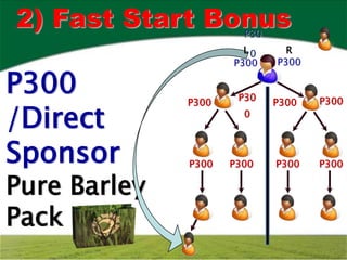 2) Fast Start Bonus    P30
                       L0      R
                     P300    P300

P300          P300
                      P30
                             P300   P300

/Direct                0



Sponsor       P300   P300    P300   P300

Pure Barley
Pack
 