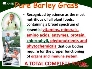 SANTÉ
I N T E R N A T I O N A L




                            • Recognized by science as the most
                              nutritious of all plant foods,
                              containing a broad spectrum of
                              essential vitamins, minerals,
                             amino acids, enzymes, protein,
                             chlorophyll, phytonutrients and
                             phytochemicals that our bodies
                             require for the proper functioning
                             of organs and immune system.
 
