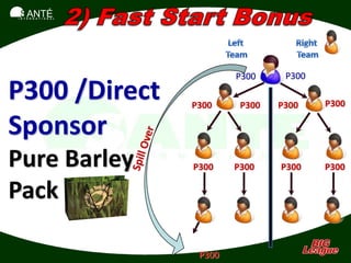 SANTÉ
I N T E R N A T I O N A L




                                    P300     P300

P300 /Direct                P300     P300   P300    P300

Sponsor
Pure Barley                 P300    P300    P300    P300

Pack

                             P300
 