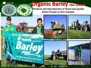SANTÉ
I N T E R N A T I O N A L




                            Producer and Manufacturer of Finest and Quality
                                    Barley Powder in New ZeaIand.
 