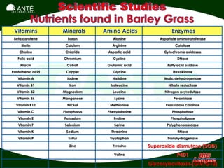 SANTÉ
I N T E R N A T I O N A L




  Vitamins                  Minerals     Amino Acids                Enzymes
  Beta carotene               Boron          Alanine          Aspartate aminotransferase
          Biotin             Calcium        Arginine                  Catalase
        Choline              Chloride     Aspartic acid         Cytochrome oxidasee
      Folic acid            Chromium         Cystine                   DNase
         Niacin               Cobalt      Glutamic acid           Fatty acid oxidase
Pantothenic acid             Copper         Glycine                  Hexokinase
      Vitamin A               Iodine        Histidine           Malic dehydrogenase
     Vitamin B1                Iron        Isoleucine             Nitrate reductase
     Vitamin B2             Magnesium       Leucine             Nitrogen oxyredutase
     Vitamin B6             Manganese        Lysine                  Peroxidase
    Vitamin B12               Nickel       Methionine            Peroxidase catalase
      Vitamin C             Phosphorus    Phenylalanine             Phosphatase
      Vitamin E             Potassium        Proline                Phospholipase
      Vitamin F              Selenium        Serine               Polyphenoloxidase
      Vitamin K              Sodium         Threonine                   RNase
      Vitamin P               Sulfur       Tryptophan             Transhydrogenase

                               Zinc         Tyrosine      Superoxide dismutase (SOD)
                                             Valine                    P4D1
                                                          Glycosyisovitexin-(GIV/G10)
 
