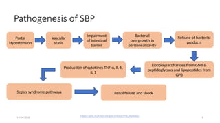 Comprehensive Overview of Spontaneous Bacterial Peritonitis ...
