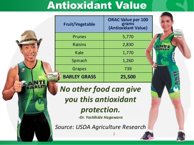 Sante barley log in picture