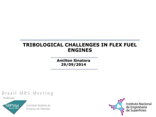 TRIBOLOGICAL CHALLENGES IN FLEX FUEL 
ENGINES 
1 
Amilton Sinatora 
29/09/2014 
 