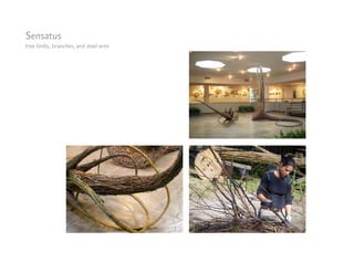 Sensatus
tree limbs, branches, and steel wire
 