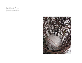 Resident Pods
grape vine and fired clay
 