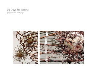 30 Days for Iktomei
grape vine and book pages
 