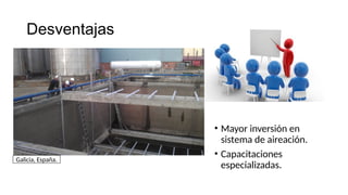 SBR secuencial batch reactor designs pptx | PPTX