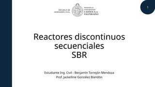 Comprehensive Overview of Sequencing Batch Reactors (SBR) for ...
