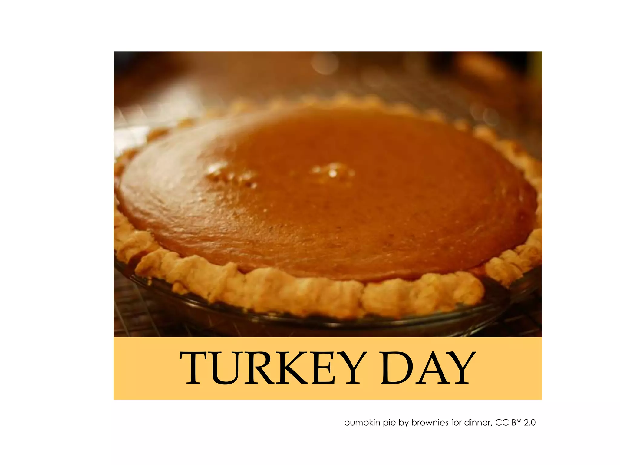 TURKEY DAY
pumpkin pie by brownies for dinner, CC BY 2.0
 