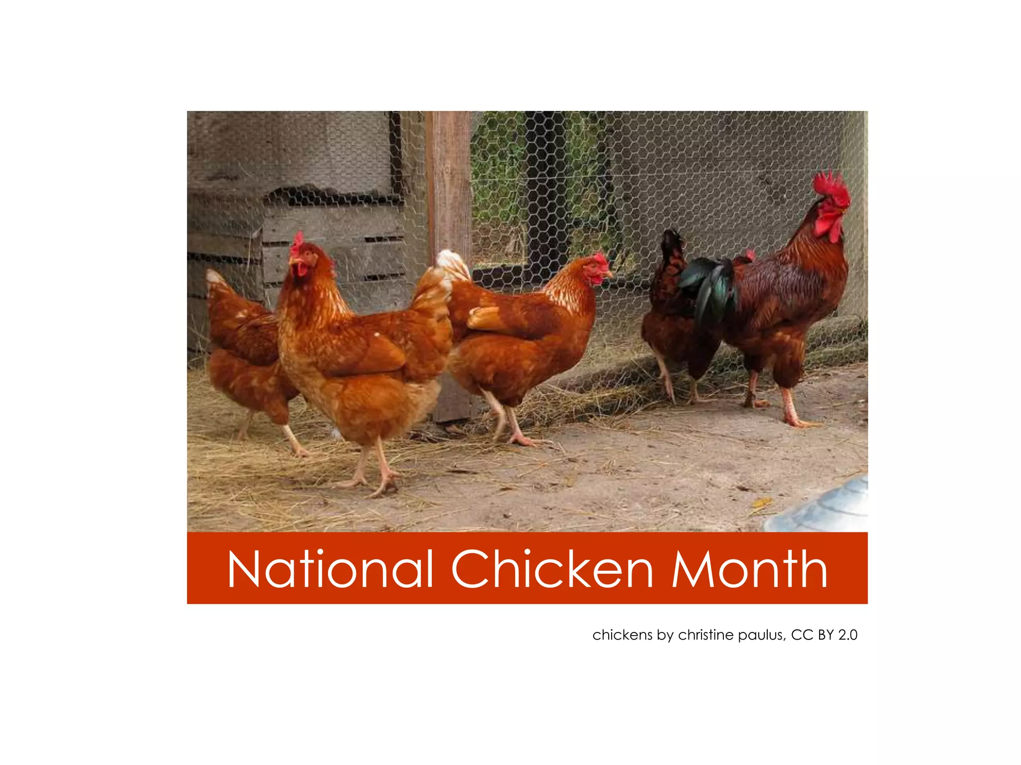 National Chicken Month
chickens by christine paulus, CC BY 2.0
 