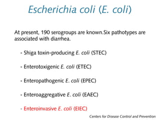 Escherichia coli (E. coli)
At present, 190 serogroups are known.Six pathotypes are
associated with diarrhea.
- Shiga toxin-producing E. coli (STEC)
- Enterotoxigenic E. coli (ETEC)
- Enteropathogenic E. coli (EPEC)
- Enteroaggregative E. coli (EAEC)
- Enteroinvasive E. coli (EIEC)
Centers for Disease Control and Prevention

 