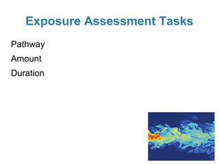 Exposure Assessment Tasks
Pathway
Amount
Duration

 