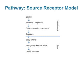 Pathway: Source Receptor Model

 