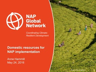 Coordinating Climate-
Resilient Development
Domestic resources for
NAP implementation
Anne Hammill
May 24, 2016
Photo: Alec Crawford
 