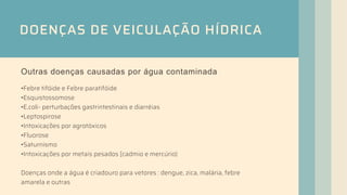 DOENÇAS DE VEICULAÇÃO HÍDRICA
Outras doenças causadas por água contaminada
•Febre tifóide e Febre paratifóide
•Esquistossomose
•E.coli- perturbações gastrintestinais e diarréias
•Leptospirose
•Intoxicações por agrotóxicos
•Fluorose
•Saturnismo
•Intoxicações por metais pesados [cadmio e mercúrio)
Doenças onde a água é criadouro para vetores : dengue, zica, malária, febre
amarela e outras
 