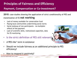 Sbsta 38 side event on non market based approaches final (nx power lite)