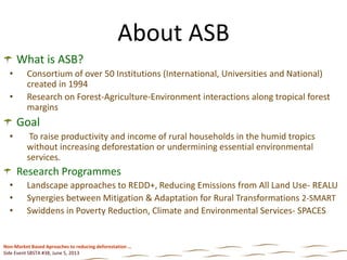 Sbsta 38 side event on non market based approaches final (nx power lite)