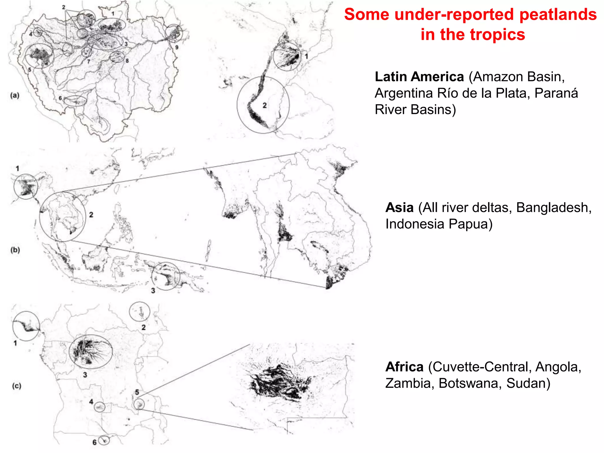 Some under-reported peatlands
in the tropics
Latin America (Amazon Basin,
Argentina Río de la Plata, Paraná
River Basins)
Asia (All river deltas, Bangladesh,
Indonesia Papua)
Africa (Cuvette-Central, Angola,
Zambia, Botswana, Sudan)
 