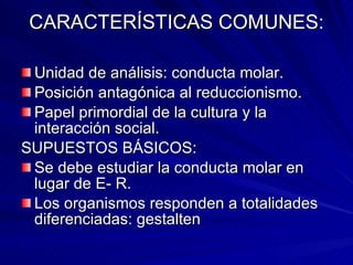 CARACTERÍSTICAS COMUNES: Unidad de análisis: conducta molar. Posición antagónica al reduccionismo. Papel primordial de la cultura y la interacción social. SUPUESTOS BÁSICOS: Se debe estudiar la conducta molar en lugar de E- R. Los organismos responden a totalidades diferenciadas: gestalten 