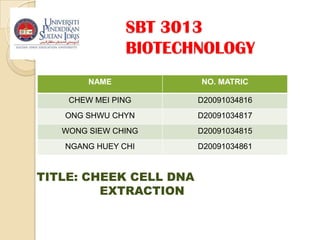 SBT 3013BIOTECHNOLOGY TITLE: CHEEK CELL DNA   					EXTRACTION 