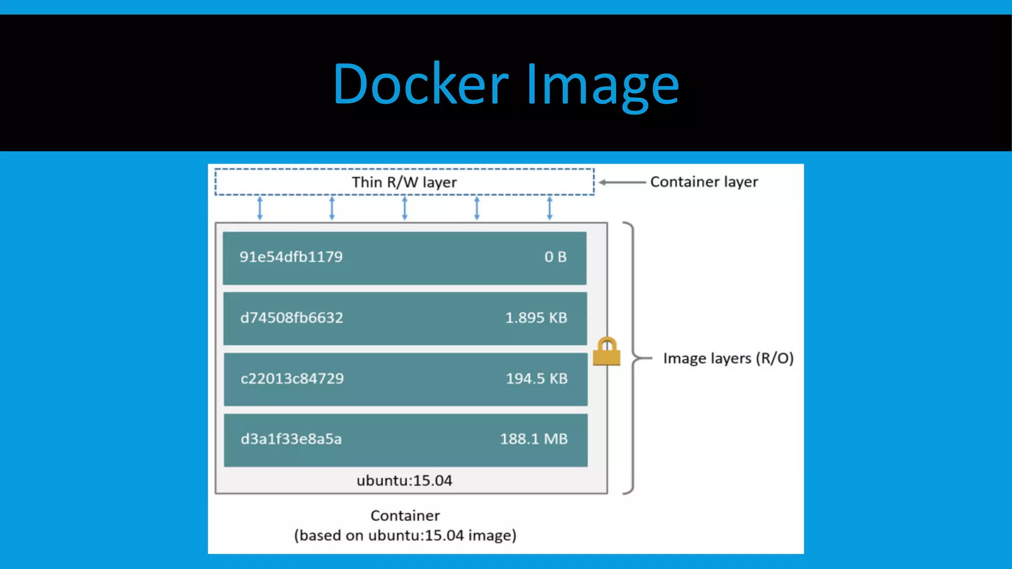 Docker Image
 