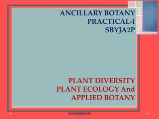 .
ANCILLARY BOTANY
PRACTICAL-I
SBYJA2P
PLANT DIVERSITY
PLANT ECOLOGY And
APPLIED BOTANY
BOTRVMSBKCAPK
 