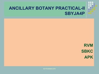 ANCILLARY BOTANY PRACTICAL-II
SBYJA4P
RVM
SBKC
APK
BOTRVMSBKCAPK
 