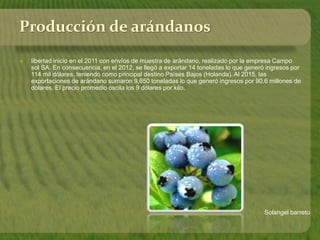 Solangel barreto
Producción de arándanos
 libertad inicio en el 2011 con envíos de muestra de arándano, realizado por la empresa Campo
sol SA. En consecuencia, en el 2012, se llegó a exportar 14 toneladas lo que generó ingresos por
114 mil dólares, teniendo como principal destino Países Bajos (Holanda). Al 2015, las
exportaciones de arándano sumaron 9,650 toneladas lo que generó ingresos por 90.6 millones de
dólares. El precio promedio oscila los 9 dólares por kilo.
 