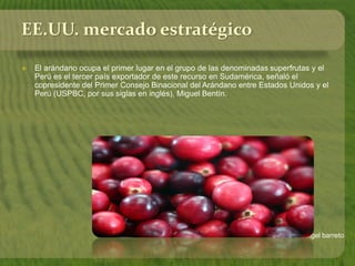 Solangel barreto
EE.UU. mercado estratégico
 El arándano ocupa el primer lugar en el grupo de las denominadas superfrutas y el
Perú es el tercer país exportador de este recurso en Sudamérica, señaló el
copresidente del Primer Consejo Binacional del Arándano entre Estados Unidos y el
Perú (USPBC, por sus siglas en inglés), Miguel Bentín.
 