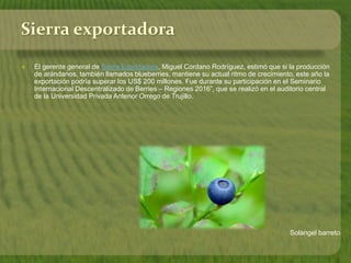 Solangel barreto
Sierra exportadora
 El gerente general de Sierra Exportadora, Miguel Cordano Rodríguez, estimó que si la producción
de arándanos, también llamados blueberries, mantiene su actual ritmo de crecimiento, este año la
exportación podría superar los US$ 200 millones. Fue durante su participación en el Seminario
Internacional Descentralizado de Berries – Regiones 2016”, que se realizó en el auditorio central
de la Universidad Privada Antenor Orrego de Trujillo.
 
