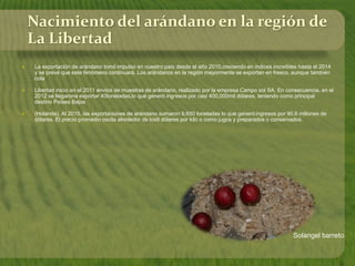 Solangel barreto
Nacimiento del arándano en la región de
La Libertad
 La exportación de arándano tomó impulso en nuestro país desde el año 2010,creciendo en índices increíbles hasta el 2014
y se prevé que este fenómeno continuará. Los arándanos en la región mayormente se exportan en fresco, aunque también
cola
 Libertad inicio en el 2011 envíos de muestras de arándano, realizado por la empresa Campo sol SA. En consecuencia, en el
2012 se llegarona exportar 40toneladas,lo que generó ingresos por casi 400,000mil dólares, teniendo como principal
destino Países Bajos
 (Holanda). Al 2015, las exportaciones de arándano sumaron 9,650 toneladas lo que generóingresos por 90.6 millones de
dólares. El precio promedio oscila alrededor de los9 dólares por kilo o como jugos y preparados o conservados.
 
