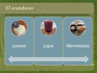 Solangel barreto
El arandano
postres jugos Mermeladas
 