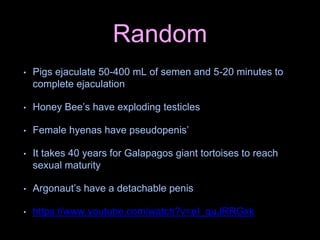 Random
• Pigs ejaculate 50-400 mL of semen and 5-20 minutes to
complete ejaculation
• Honey Bee’s have exploding testicles
• Female hyenas have pseudopenis’
• It takes 40 years for Galapagos giant tortoises to reach
sexual maturity
• Argonaut’s have a detachable penis
• https://www.youtube.com/watch?v=eI_quJRRGxk
 