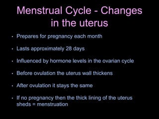 Menstrual Cycle - Changes
in the uterus
• Prepares for pregnancy each month
• Lasts approximately 28 days
• Influenced by hormone levels in the ovarian cycle
• Before ovulation the uterus wall thickens
• After ovulation it stays the same
• If no pregnancy then the thick lining of the uterus
sheds = menstruation
 