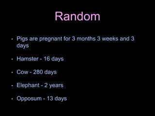 Random
• Pigs are pregnant for 3 months 3 weeks and 3
days
• Hamster - 16 days
• Cow - 280 days
• Elephant - 2 years
• Opposum - 13 days
 