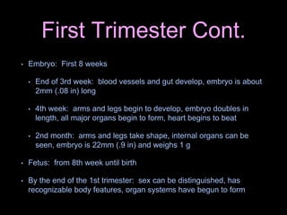 First Trimester Cont.
• Embryo: First 8 weeks
• End of 3rd week: blood vessels and gut develop, embryo is about
2mm (.08 in) long
• 4th week: arms and legs begin to develop, embryo doubles in
length, all major organs begin to form, heart begins to beat
• 2nd month: arms and legs take shape, internal organs can be
seen, embryo is 22mm (.9 in) and weighs 1 g
• Fetus: from 8th week until birth
• By the end of the 1st trimester: sex can be distinguished, has
recognizable body features, organ systems have begun to form
 