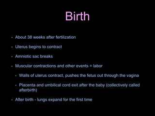 Birth
• About 38 weeks after fertilization
• Uterus begins to contract
• Amniotic sac breaks
• Muscular contractions and other events = labor
• Walls of uterus contract, pushes the fetus out through the vagina
• Placenta and umbilical cord exit after the baby (collectively called
afterbirth)
• After birth - lungs expand for the first time
 