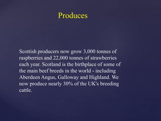 Scottish producers now grow 3,000 tonnes of
raspberries and 22,000 tonnes of strawberries
each year. Scotland is the birthplace of some of
the main beef breeds in the world - including
Aberdeen Angus, Galloway and Highland. We
now produce nearly 30% of the UK's breeding
cattle.
Produces
 