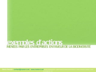 exemples d'actions MENÉES PAR LES ENTREPRISES EN FAVEUR DE LA BIODIVERSITÉ 