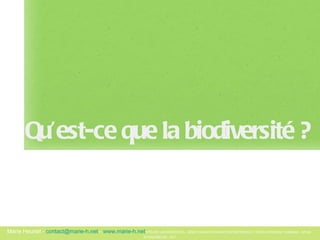 Qu’est-ce que la biodiversité ? 