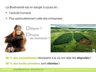 La Biodiversité est en danger à cause de :  l’activité humaine  Plus particulièrement celle des entreprises 60 % des écosystèmes  nécessaire à la vie ont déjà été  dégradés ! 80 % des forêts primaires  sont  éteintes !   