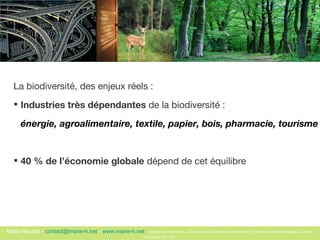 La biodiversité, des enjeux réels :  Industries très dépendantes  de la biodiversité :  énergie, agroalimentaire, textile, papier, bois, pharmacie, tourisme 40 % de l’économie globale  dépend de cet équilibre 