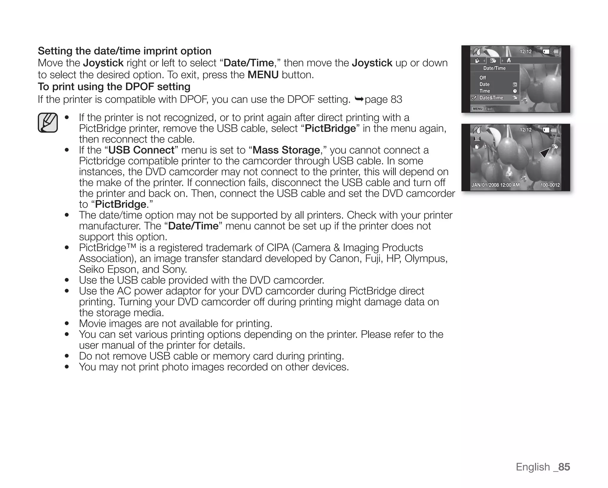 Samsung Camcorder SC-DX100 User Manual
