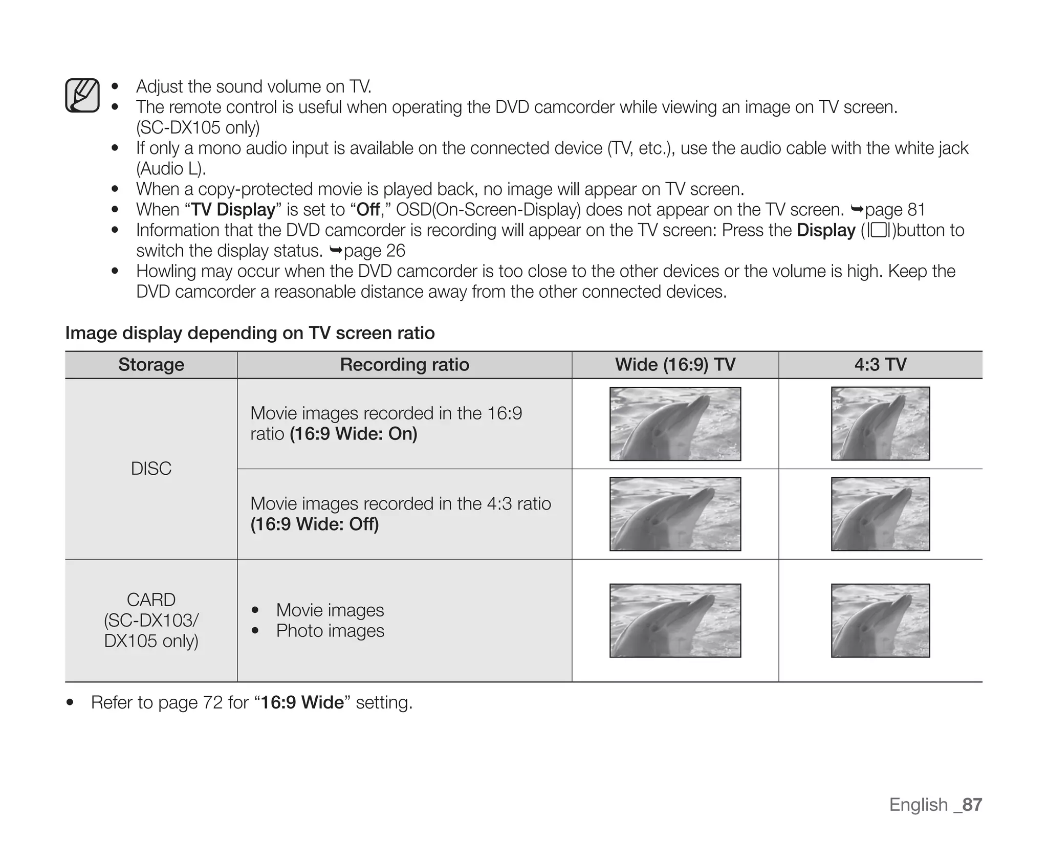 Samsung Camcorder SC-DX100 User Manual
