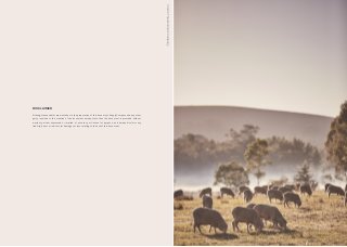 DISCLAIMER
Although reasonable care was taken in the preparation of this document, SupplyCompass and any other
party involved in the creation of the document hereby state that the document is provided without
warranty, either expressed or implied, of accuracy or fitness for purpose, and hereby disclaim any
liability, direct or indirect, for damages or loss relating to the use of this document.
Credit::TheWoolmarkCompany
 