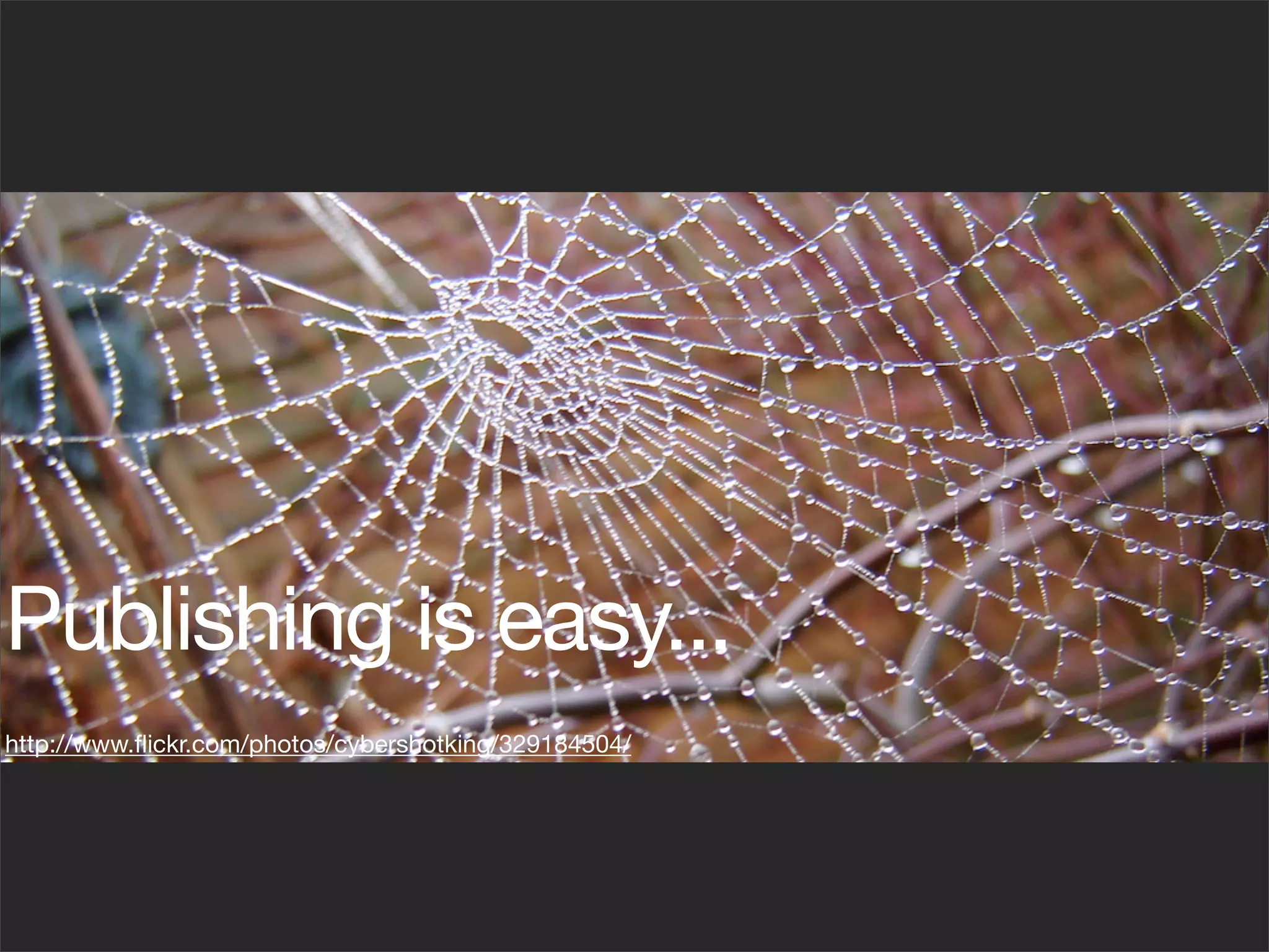 Publishing is easy...
http://www.ﬂickr.com/photos/cybershotking/329184504/
 